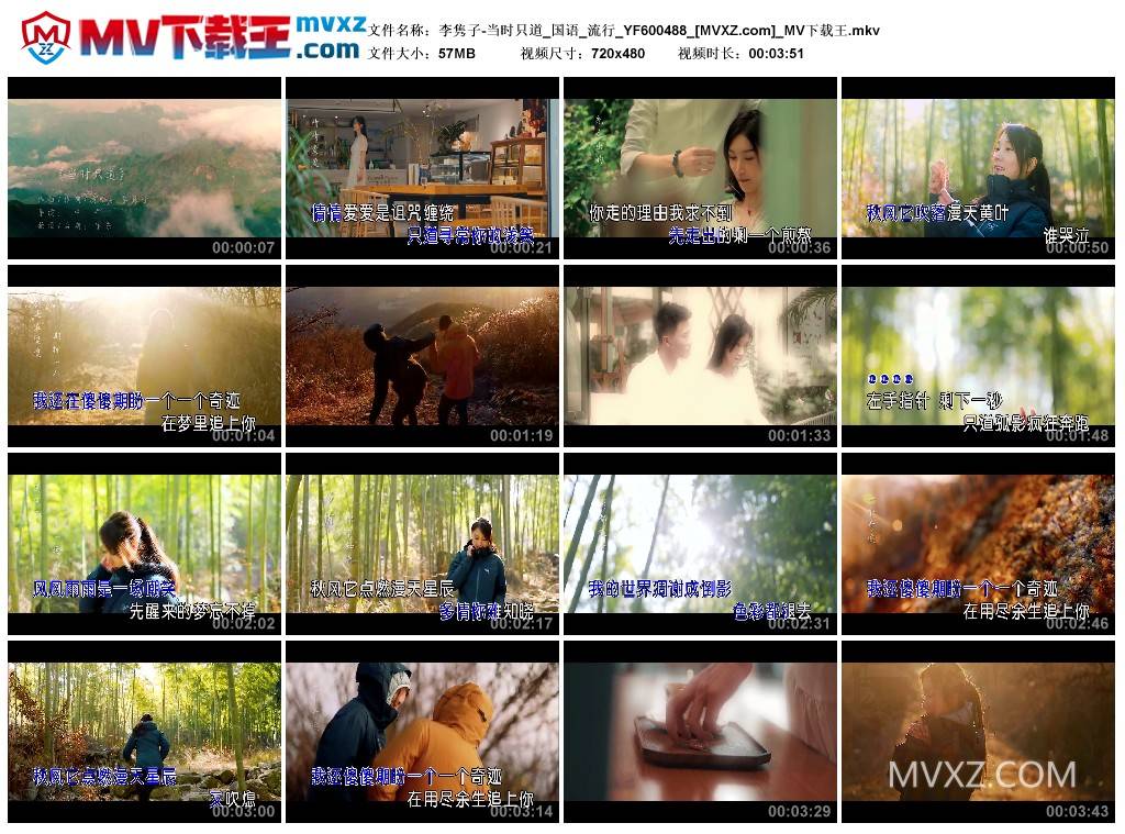 李隽子-当时只道_国语_流行_YF600488